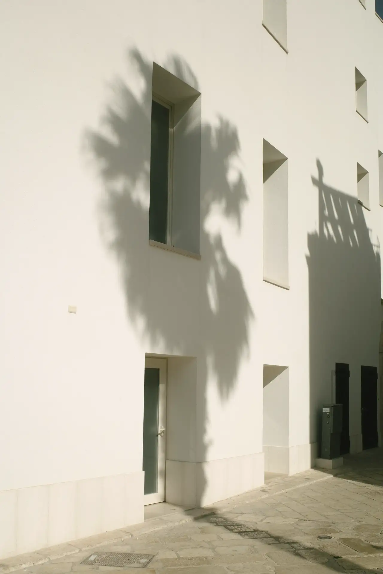 Late afternoon: a tree’s shadow on limewash