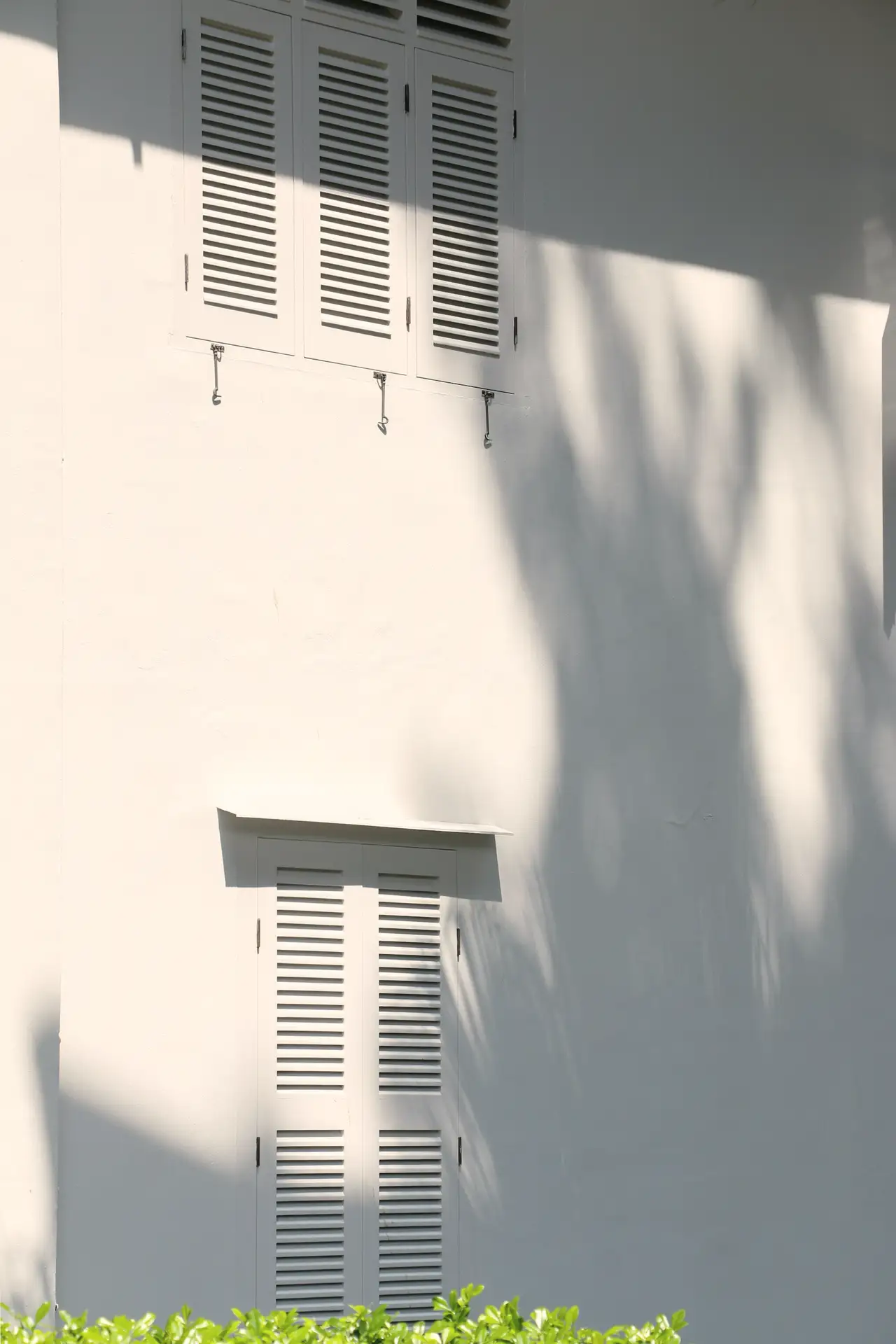 Limewashed wall, louvred shutters, a tree's shadow