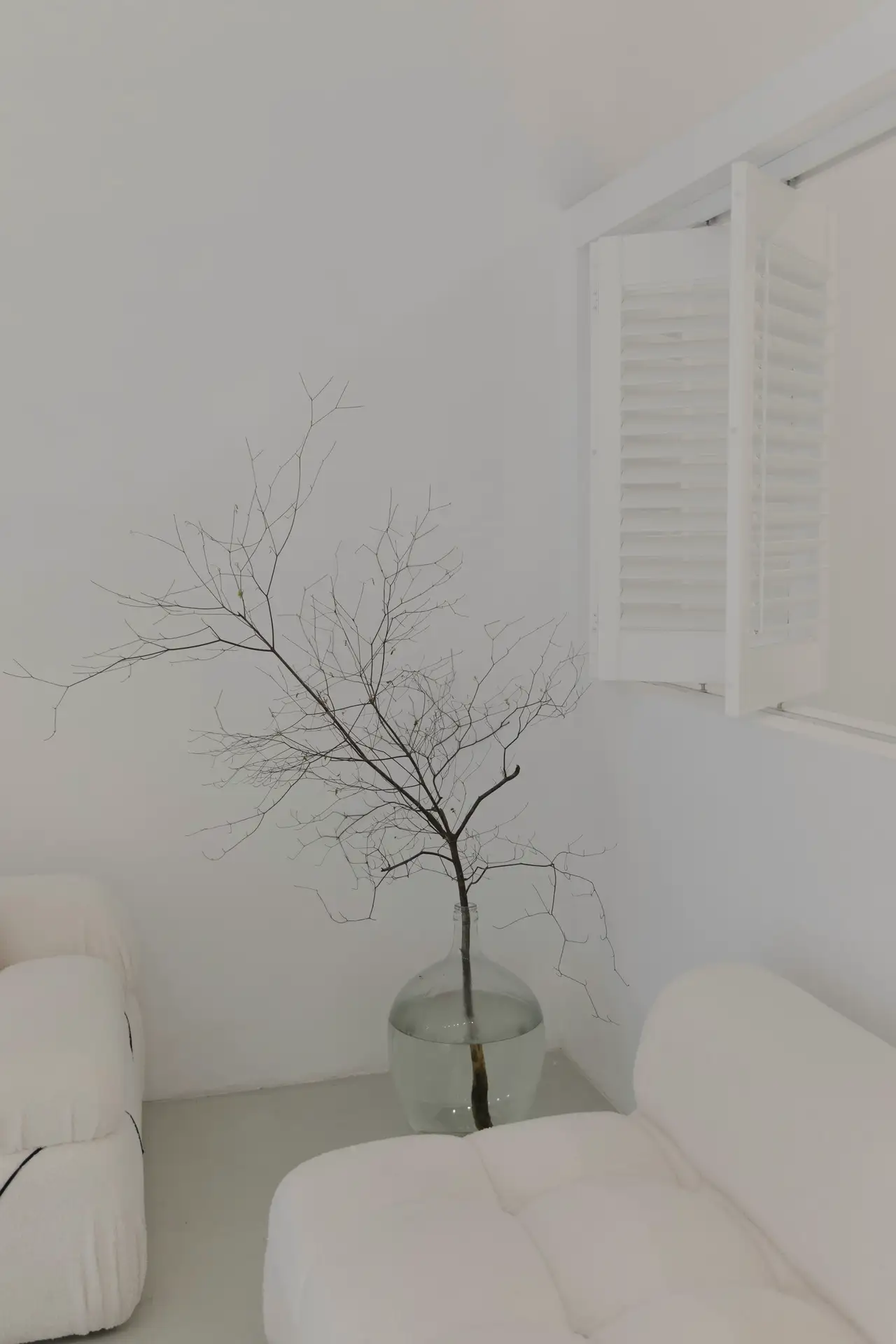 A white room, a shutter open, a branch