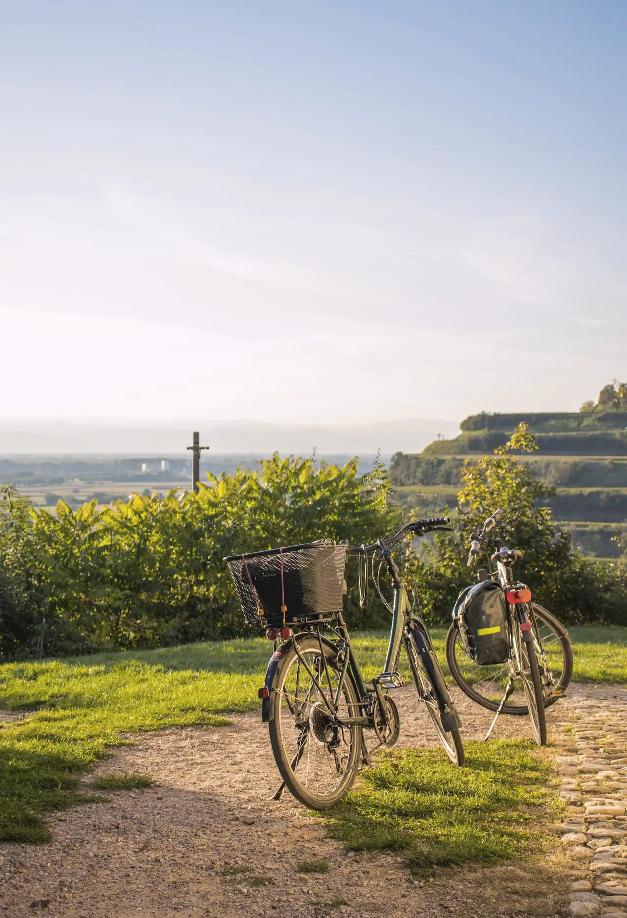 Deux vélos sur un chemin au-dessus des vignes