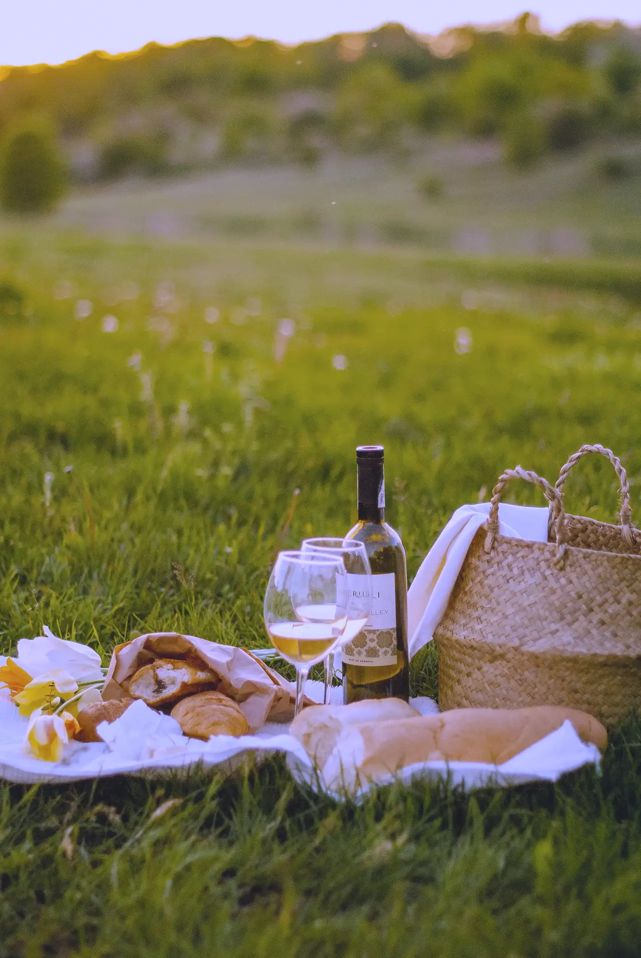 A picnic in the grass, a basket and bread